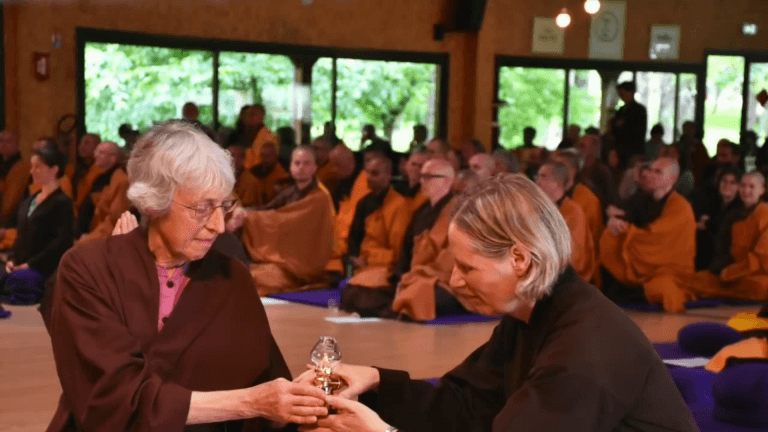 Theresa ordination