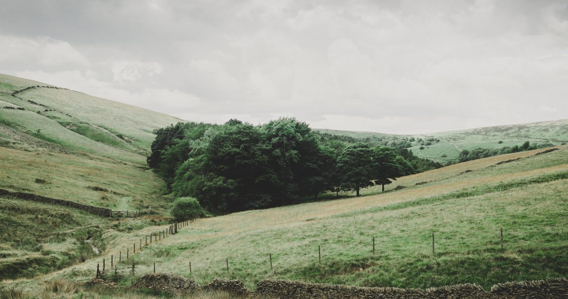 Peak District hills and trees